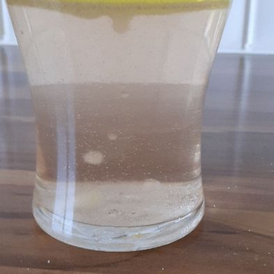 tsa_HomeLearningScience (37)